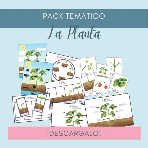 Pack La Planta